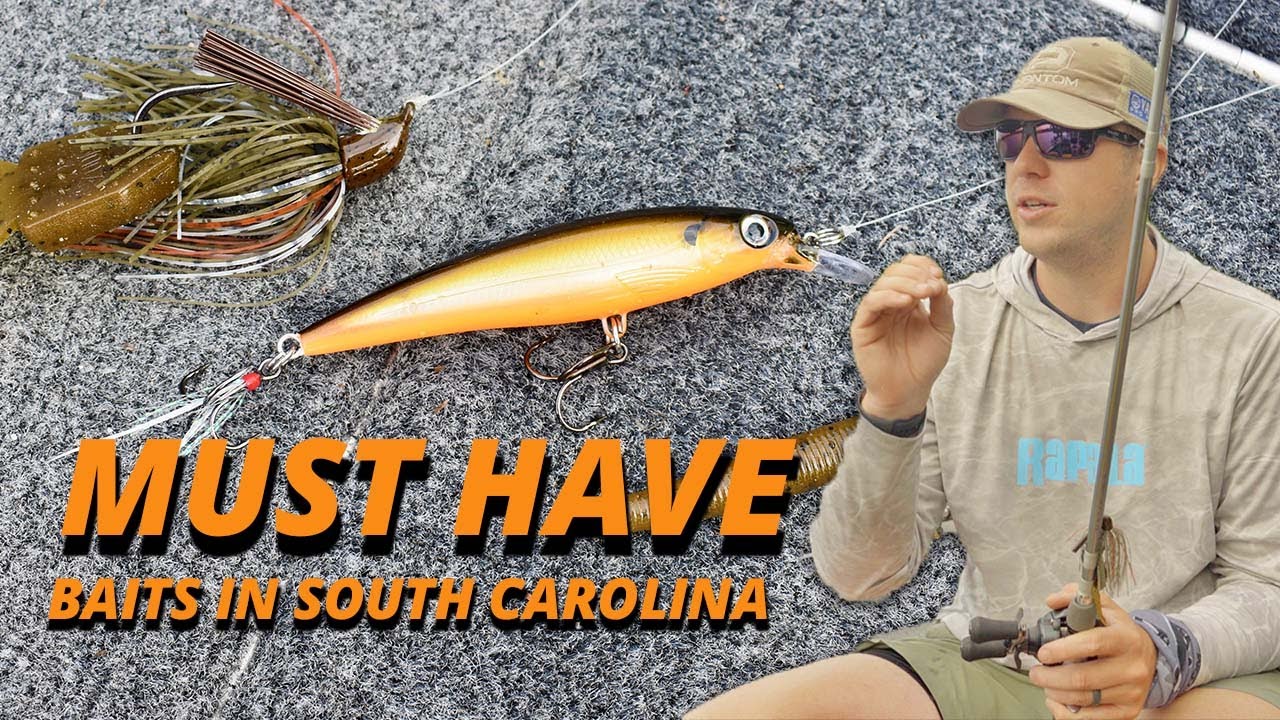 best lure for fishing in murrells inlet Must Have Baits for South Carolina Bass Fishing w/ Patrick Walters