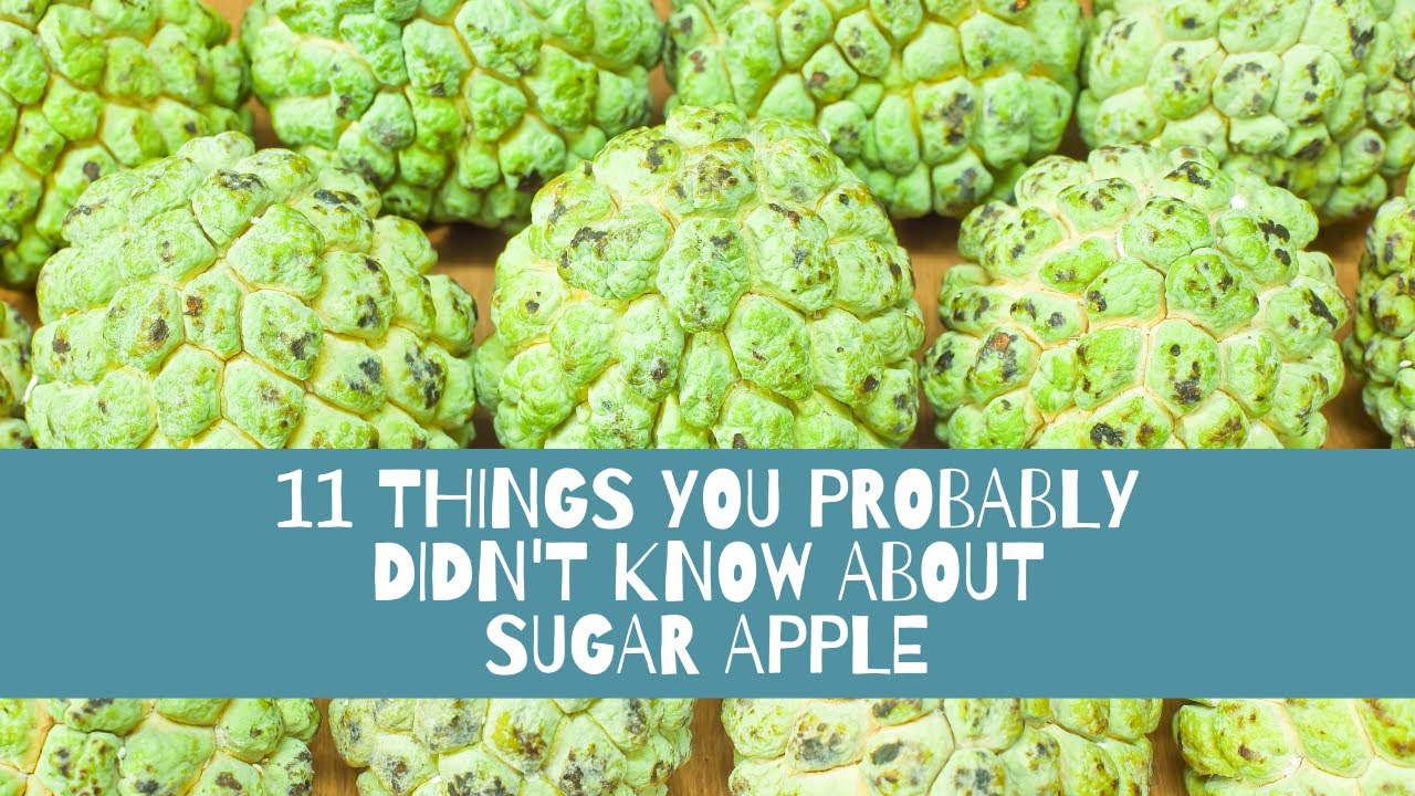 Sugar apple by another name nyt