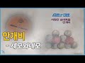 안개21 세모와네모 안개비 1979 안개21 세모와네모 안개비 1979