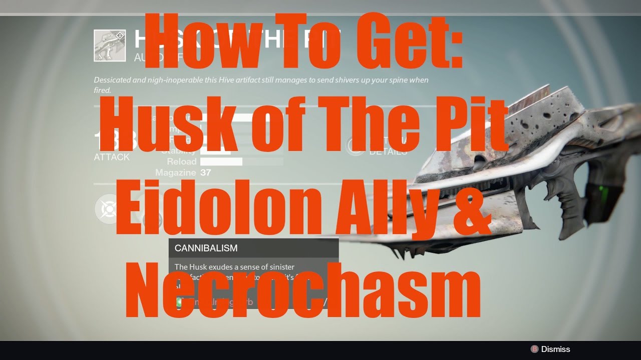 How To Get Husk of The Pit, Eidolon Ally and Necrochasm!!! YouTube
