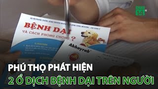 Phú Thọ: Phát hiện 2 ổ dịch bệnh dại trên người ở huyện Tân Sơn | VTC14