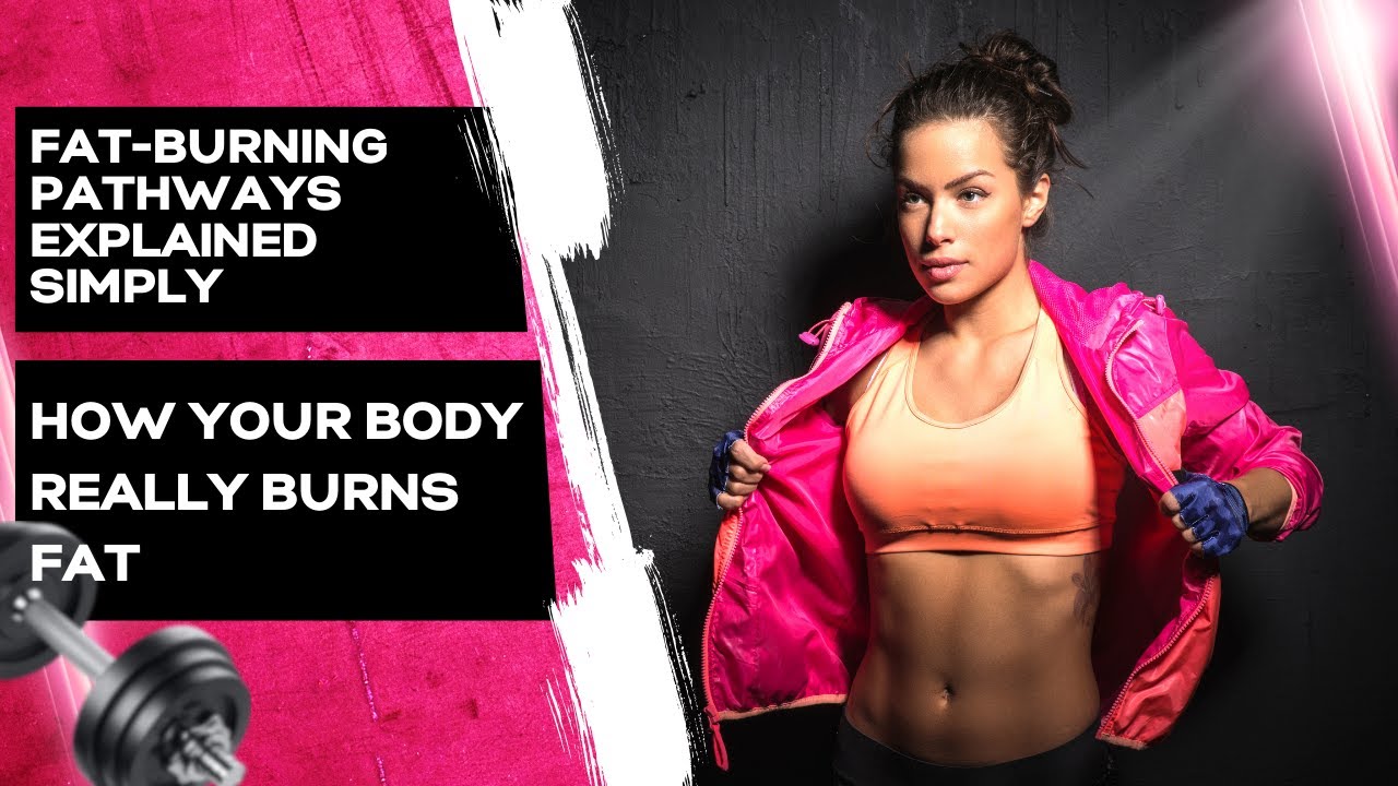Fat Burning Pathways Explained Simply — How Your Body Really Burns Fat