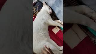 kahirap gisingin parang tao