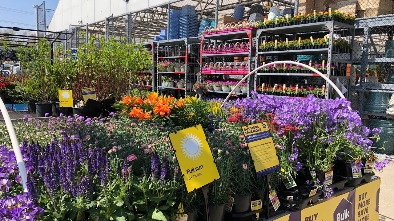 Lowes Garden Center 2023 KellyNo Garden YouTube