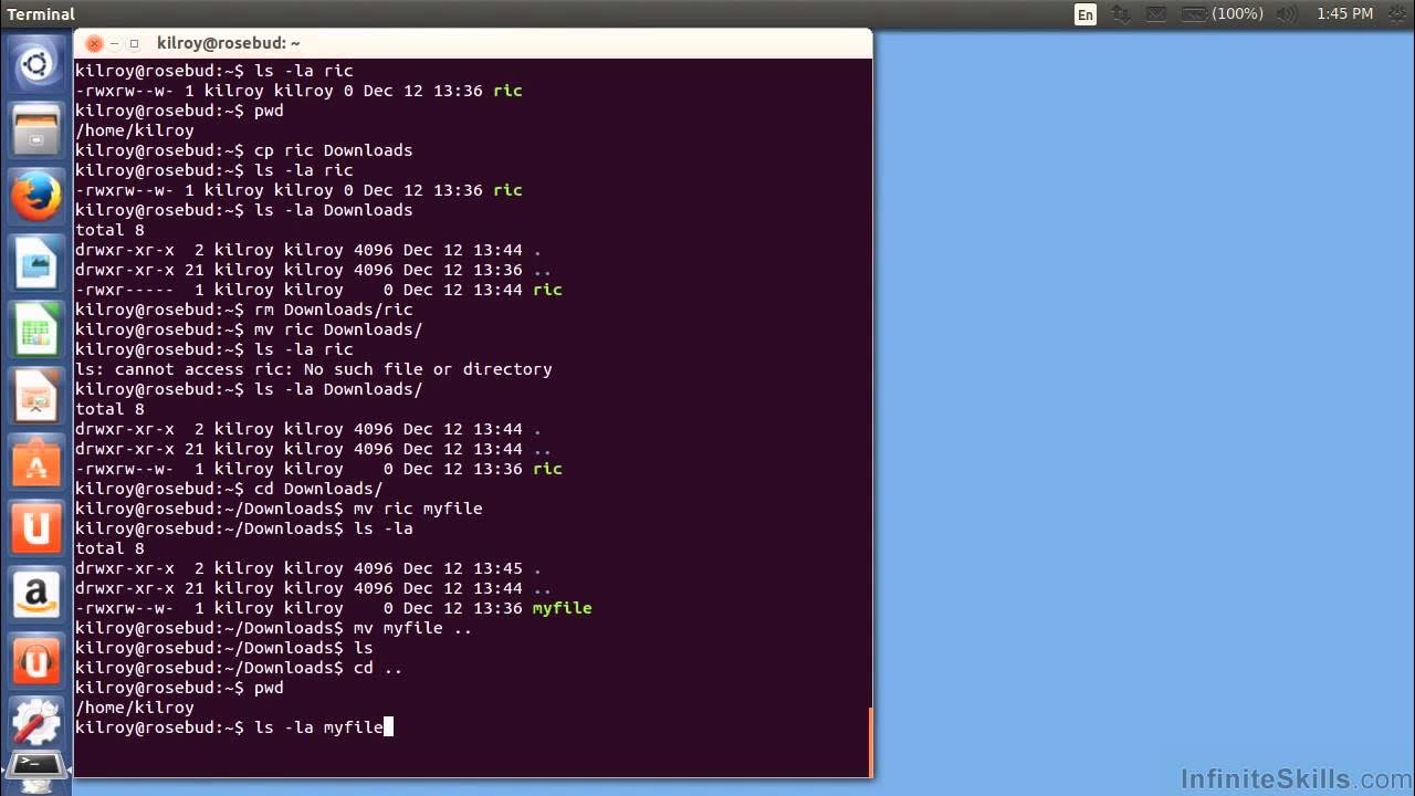 Bash file path. Mv linux. pwd linux. линукс обучение. bash.