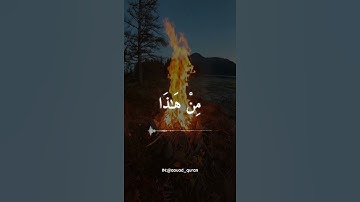 خالد الجليل من سورة الأنبياء حالات واتس 🤍🥀