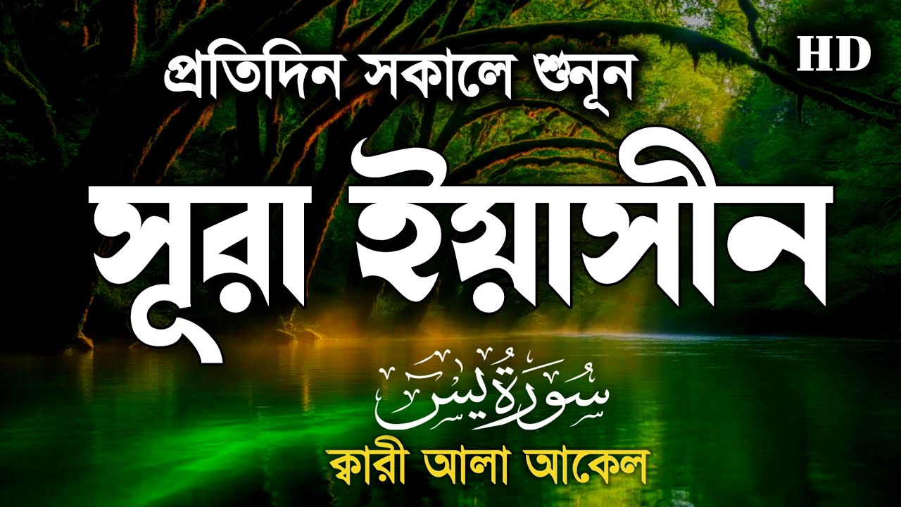 প্রতিদিন সকালে শুনুন - সূরা ইয়াসীন | SURAH Yasin | Most Beautiful Reaction | By ALAA AQEL 