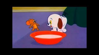 Tom And Jerry - Puppy Tale