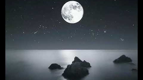 قراءة جزء من سورة الحجرات