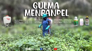 Pengaplikasian Herbisida Roll Up, Erkafuron Dan Roolweed Oleh Gulma Membandel