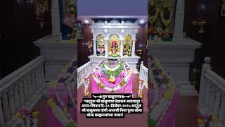 सद्गुरू संत श्री बाळूमामा आजची पूजा #balumama #mama #puja #ytshorts #shorts #viralshort