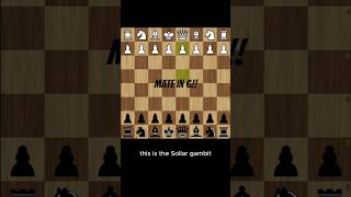 Sollar Gambit #chess #chessshorts #chesstactics #chesstrap #gambit #chessopenings #learnchess