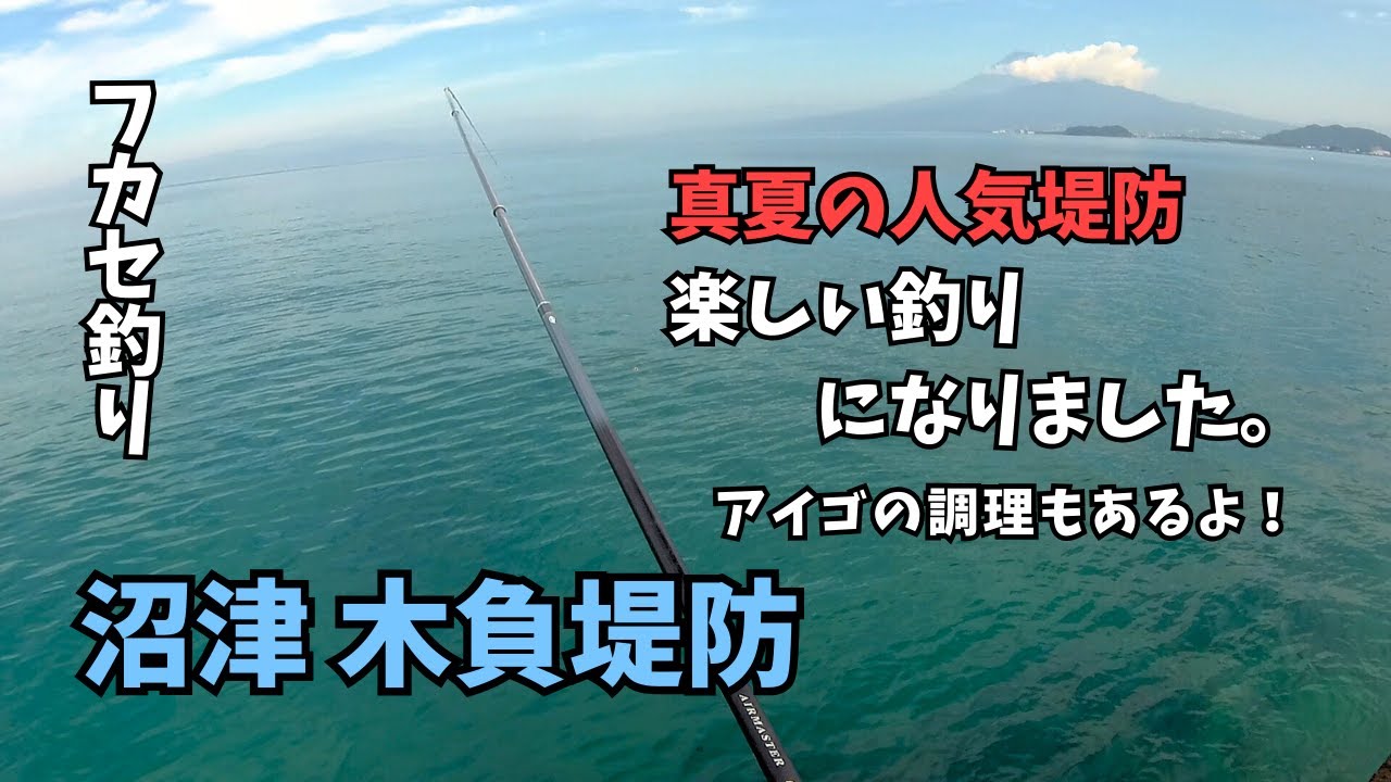 【フカセ釣り】真夏の人気堤防、結構楽しめました！【沼津 木負堤防】#14