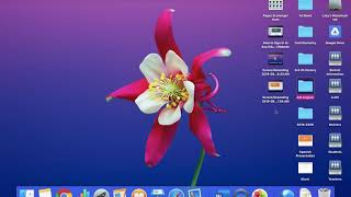 Creating Folders & Aliases on MacBook