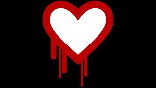 INFR2600U - Heartbleed Project