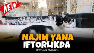 NAJIM YANA IFTORLIKDA | OBUNA BOLING | AZIK BOOM