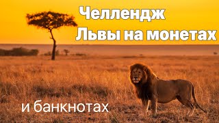 Челлендж - Львы на монетах и банкнотах