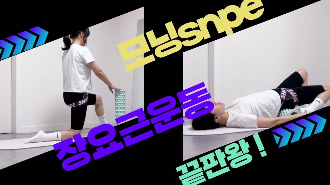 장요근 이완 및 강화 운동으로 허리 통증과 뱃살 줄이기!