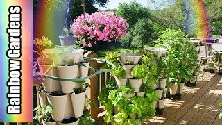 Whats Growing in Early June? Square Foot Garden & Growing Vertically with GreenStalk! @RainbowGardens