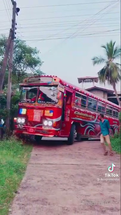 kalani tiger bus new video