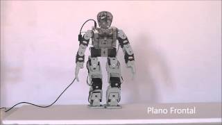 Ciclo de Marcha del Robot Bioloid mediante el Filtro Dinámico