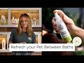 Skout's Honor Probiotic Deodorizer