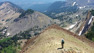 Hiking amongst wildflowers and peak bagging in the Bridger National Forest in Wyoming 4K