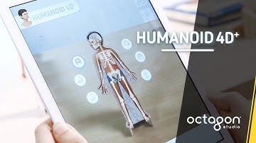 Augmented Reality Kit: Humanoid 4D+ | Octagon Studio