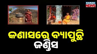 Reporter Live: Jaundice Outbreak In Puri’s Kanas Area, 9 Infected | Dirty River Water Suspected