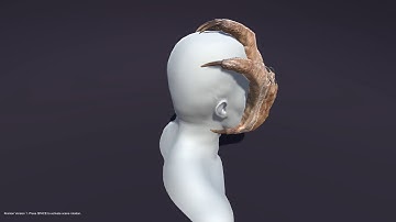 Kranion, Version 1, Face Grab, Unity3d Demo