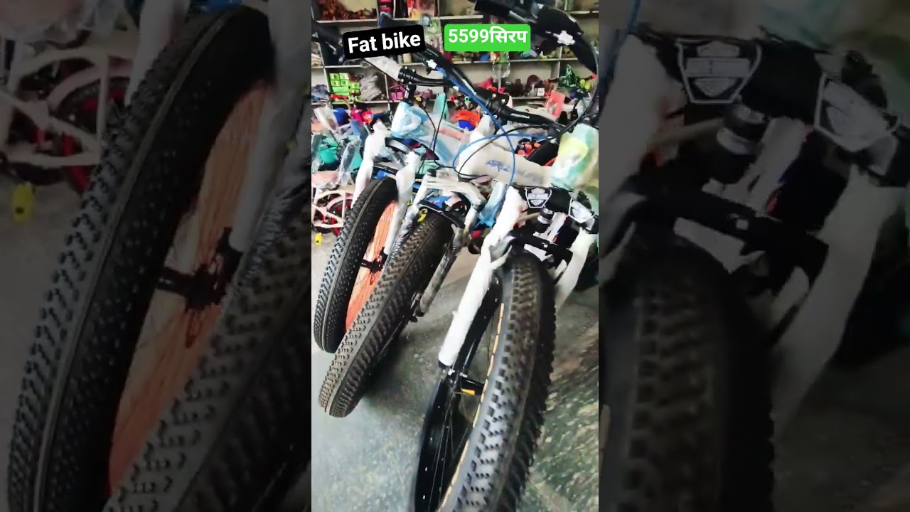 fat bike for double disc break front shocker Rajasthan limited Jaipur company