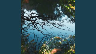 Sumptuous Backdrops for Quiet Mornings