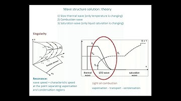 Alexei Mailybaev   Interpore 07/08/2019
