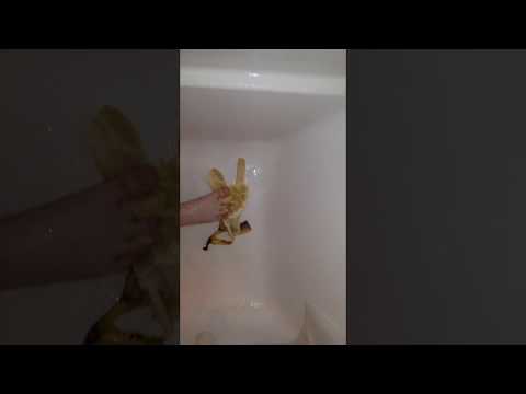 Squishy Banana Mask for Feet