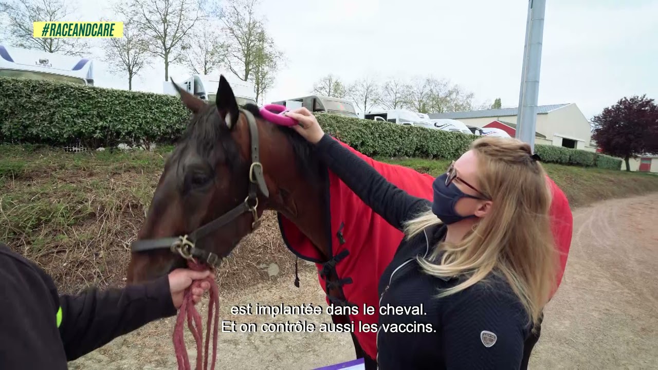 Bien-être équin  France Galop Live