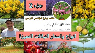 مشتل فدك للنباتات النادرة العراق 🇮🇶 بابل انتاج عراقي 100%  بايدي مهندسين زراعيين والبيع جملة ومفرد