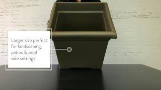 Square Accent Planter