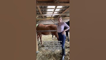 5 Tone Secrets of Highly EFFECTIVE Communicators