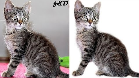 How to Remove Background using Quick Mask in Gimp | Gimp 2.8.16 | #2