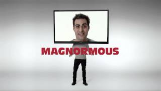 SHARP AQUOS QUATTRON 70" LCD MAGNORMOUS Net Worth