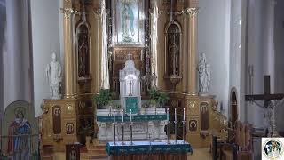 XIV Domingo Ordinario