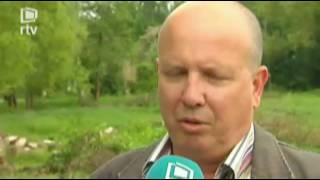 Vervuilde Gracht Muizen Door Fout Aannemer