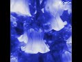 Blue Core 🩵💙❄️✨ #theme #blue #aethetic #cute #edit #dreamcore #dreamy #viral #cutewallpaper