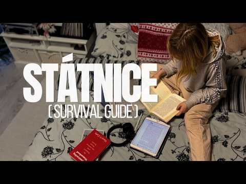 POV: je leden a už teď nemůžeš | státnice, academic burnout a tipy na zkouškové