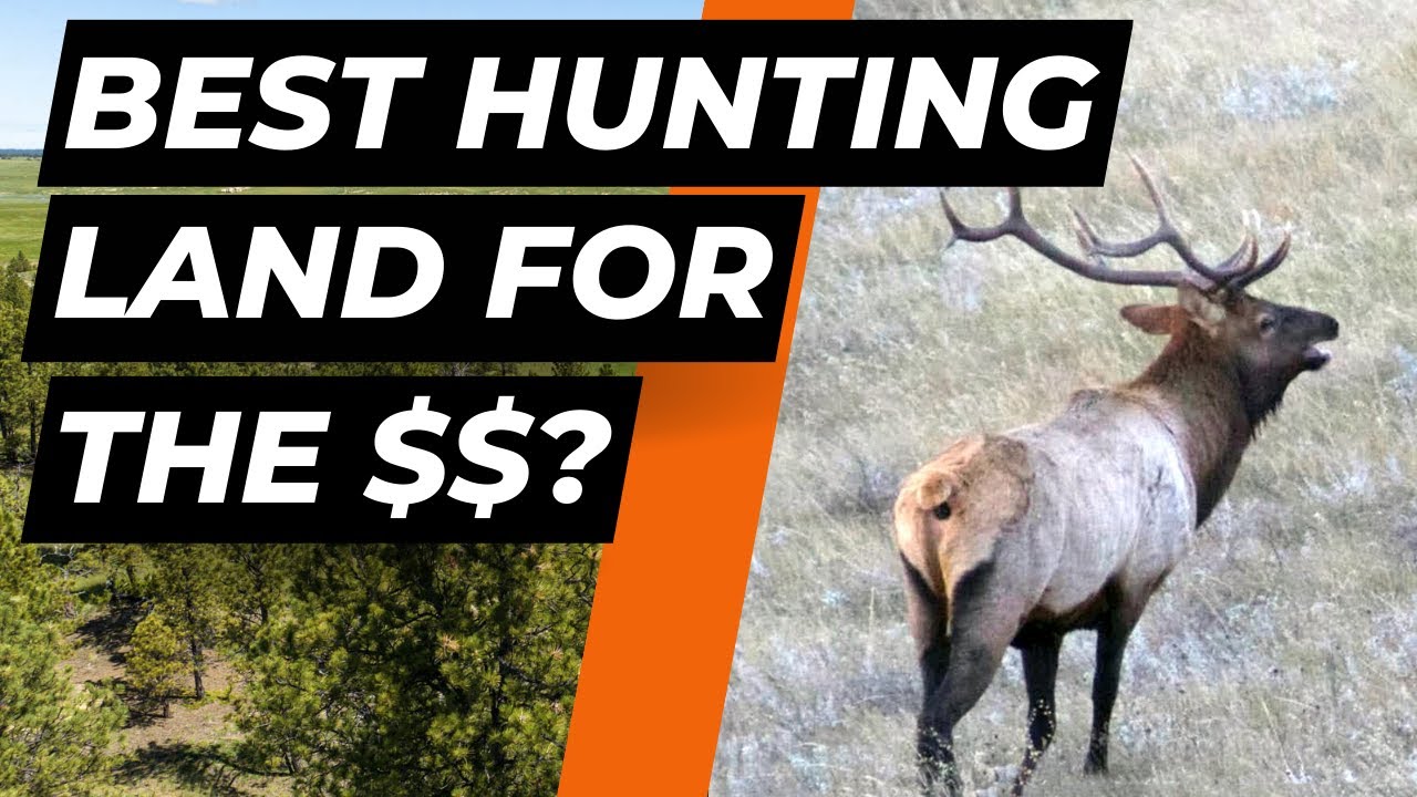 Why Buy Land in the Bull Mountains, Montana YouTube