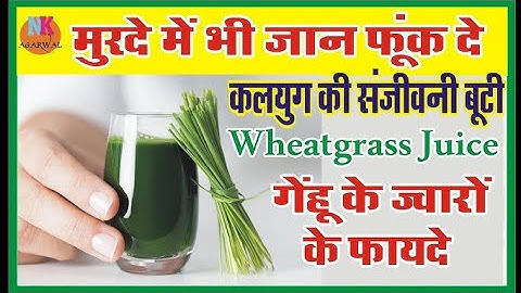 How to Grow Wheatgrass in 7 Days | Detox Your Body | A Complete Guide | जूस के लिए गेहूं कैसे उगाए