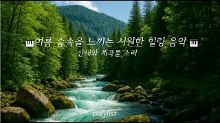 [Playlist]여름 숲속을 느끼는 시원한 힐링 음악🏞️🏝️ | 산새와 계곡물 소리