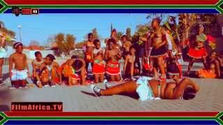 Umkhosi Womhlanga Songs