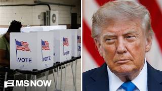 Stealing Elections American Style New book reveals the history of CHEATING in U S elections
