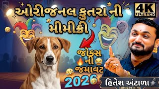 Hitesh Antala      2026